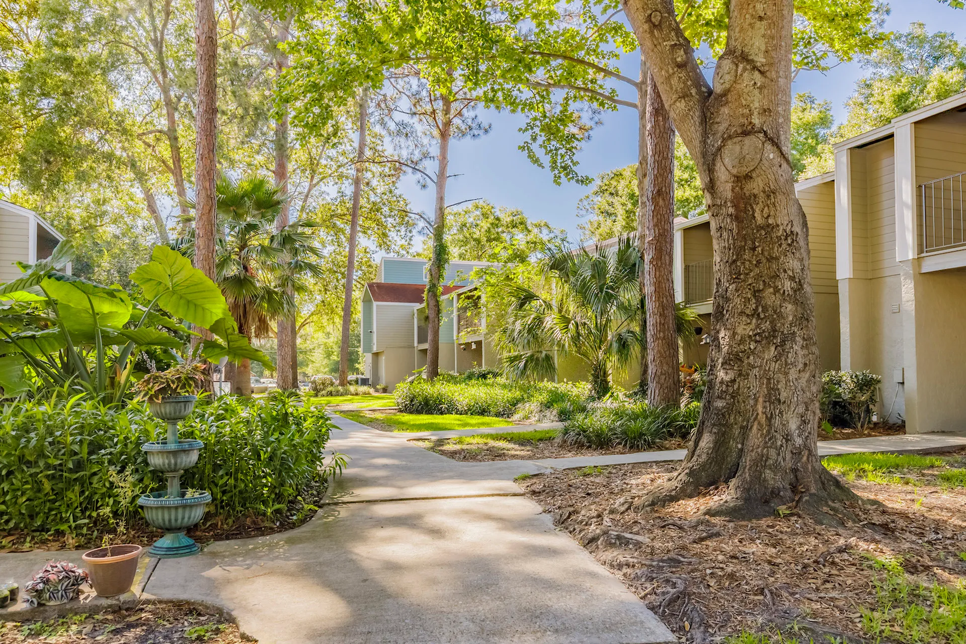 Outside view of the community buildings. There is a sidewalk that leads you throughout the community. There are trees and plants on both sides of the sidewalks.