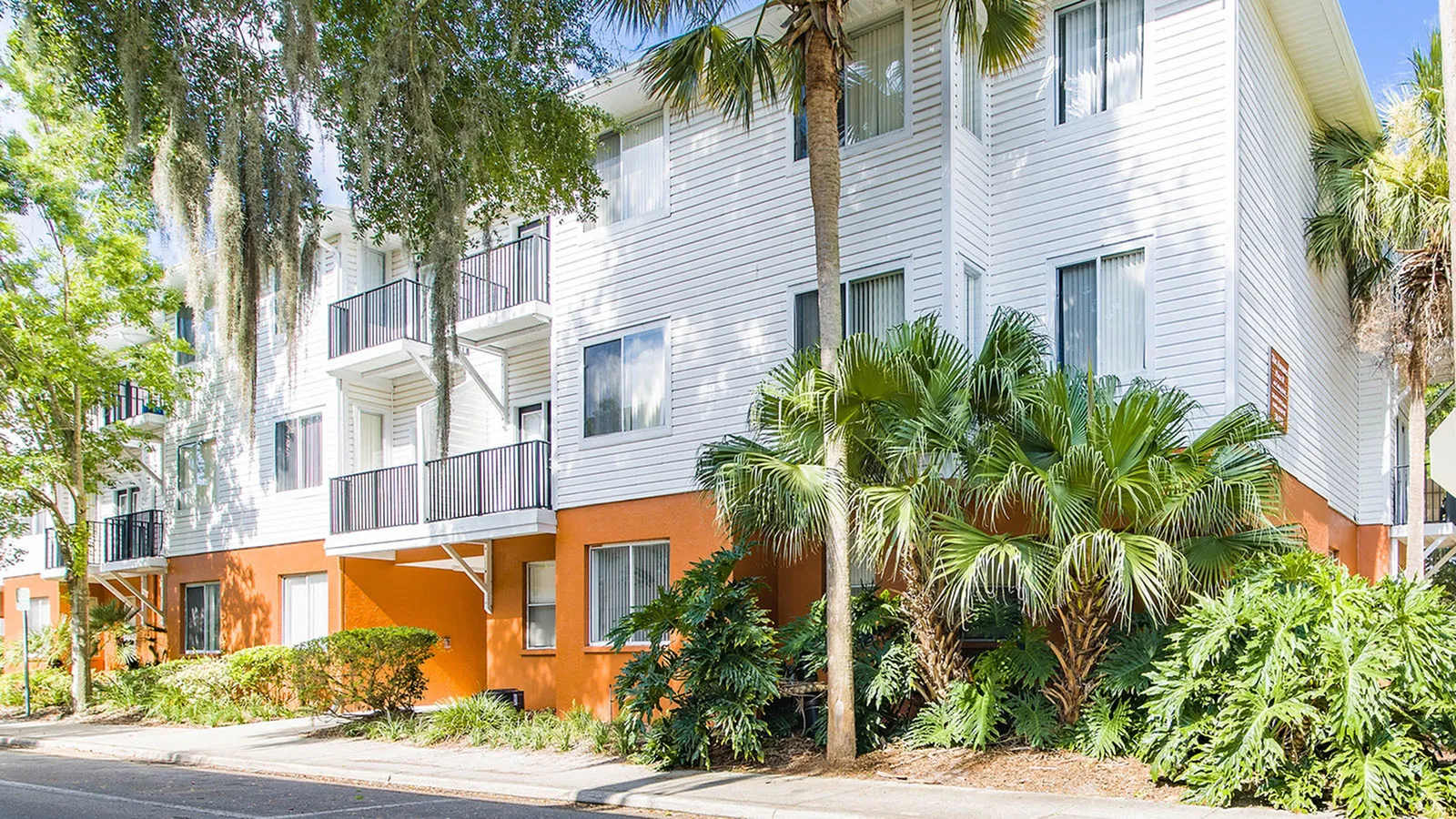 Exterior of three floor building with tall palm and lush landscaping.