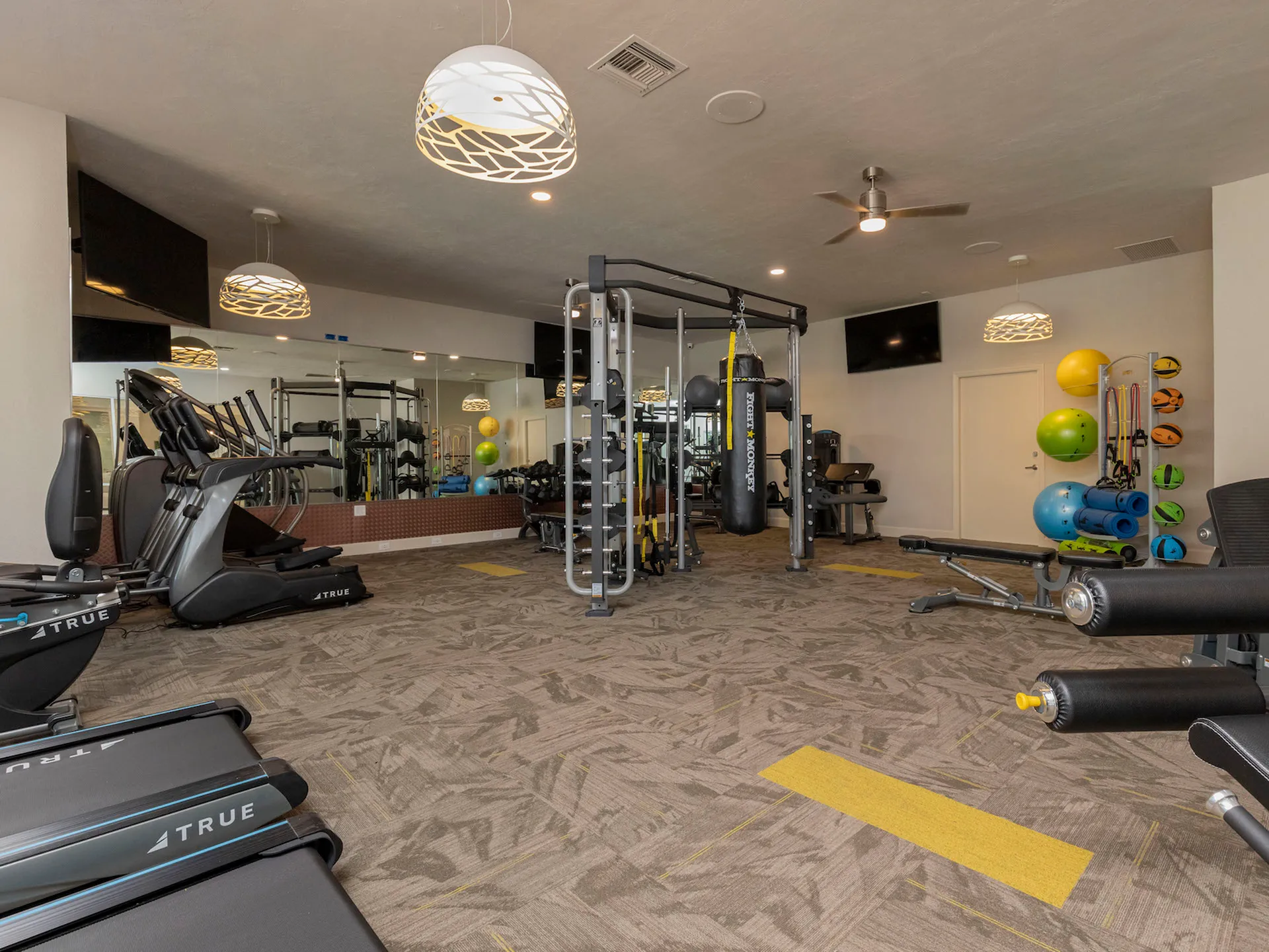 Carpeted gym with punching bag, medicine balls, weights, pull up bars, and various other pieces of equipment in the background.