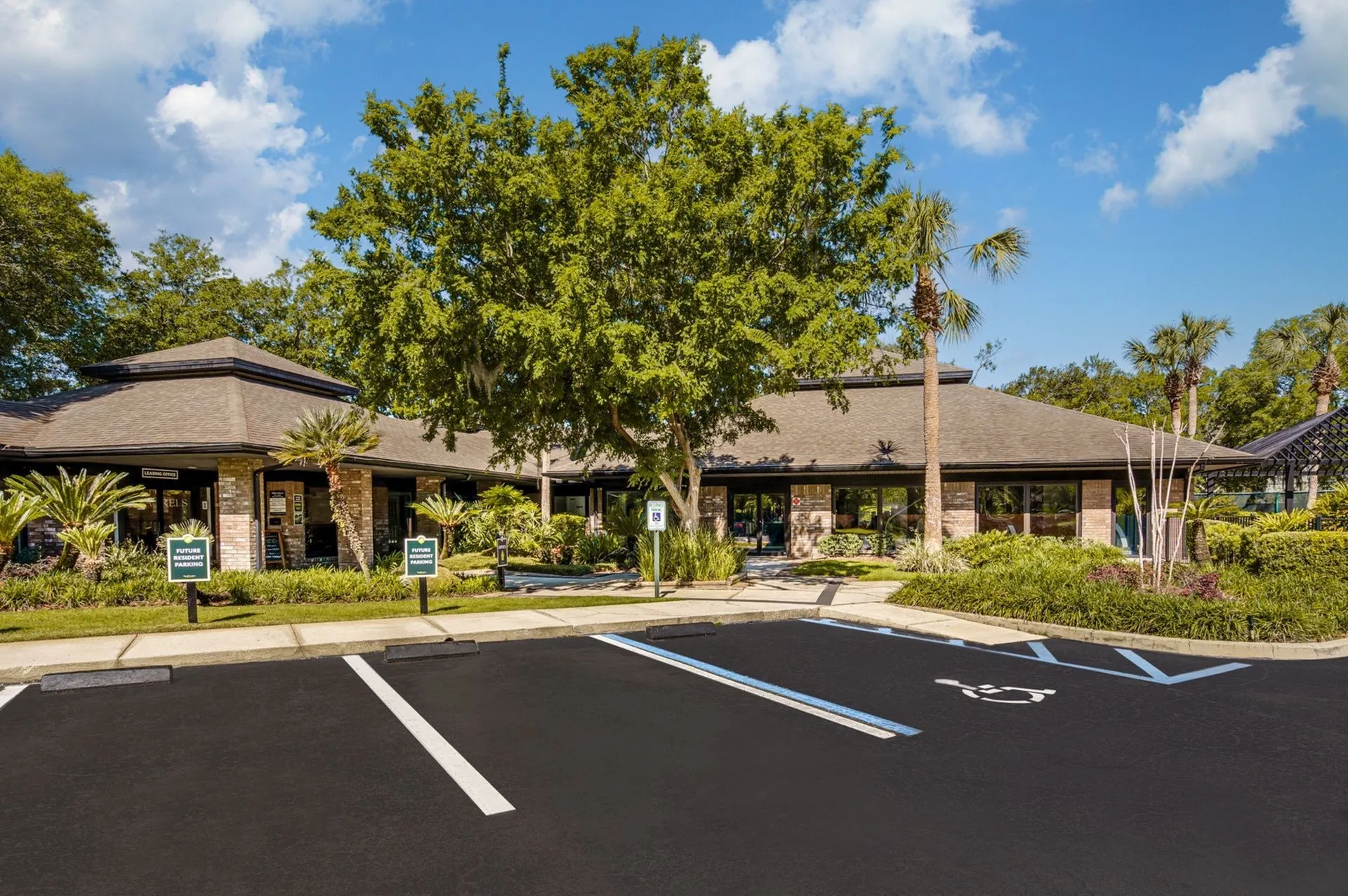 Leasing office exterior with large tree. Parking lot in foreground.
