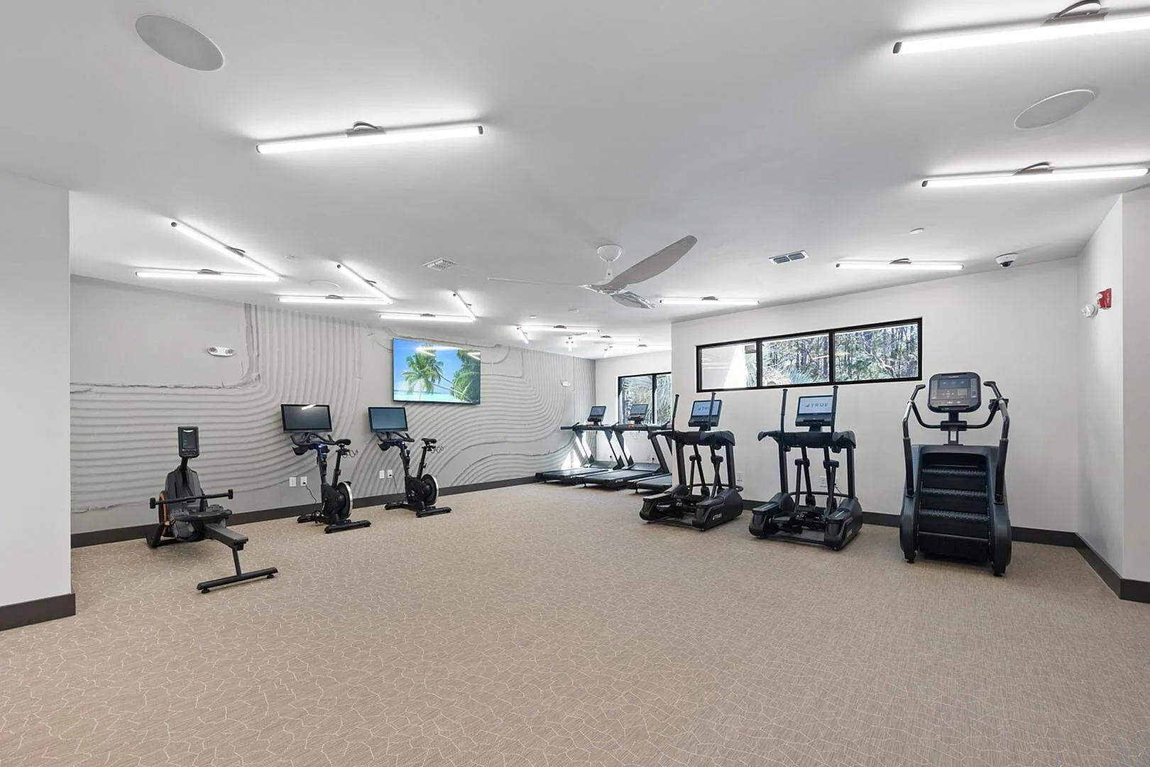 Contemporary gym with state-of-the-art exercise equipment and ambient lighting.