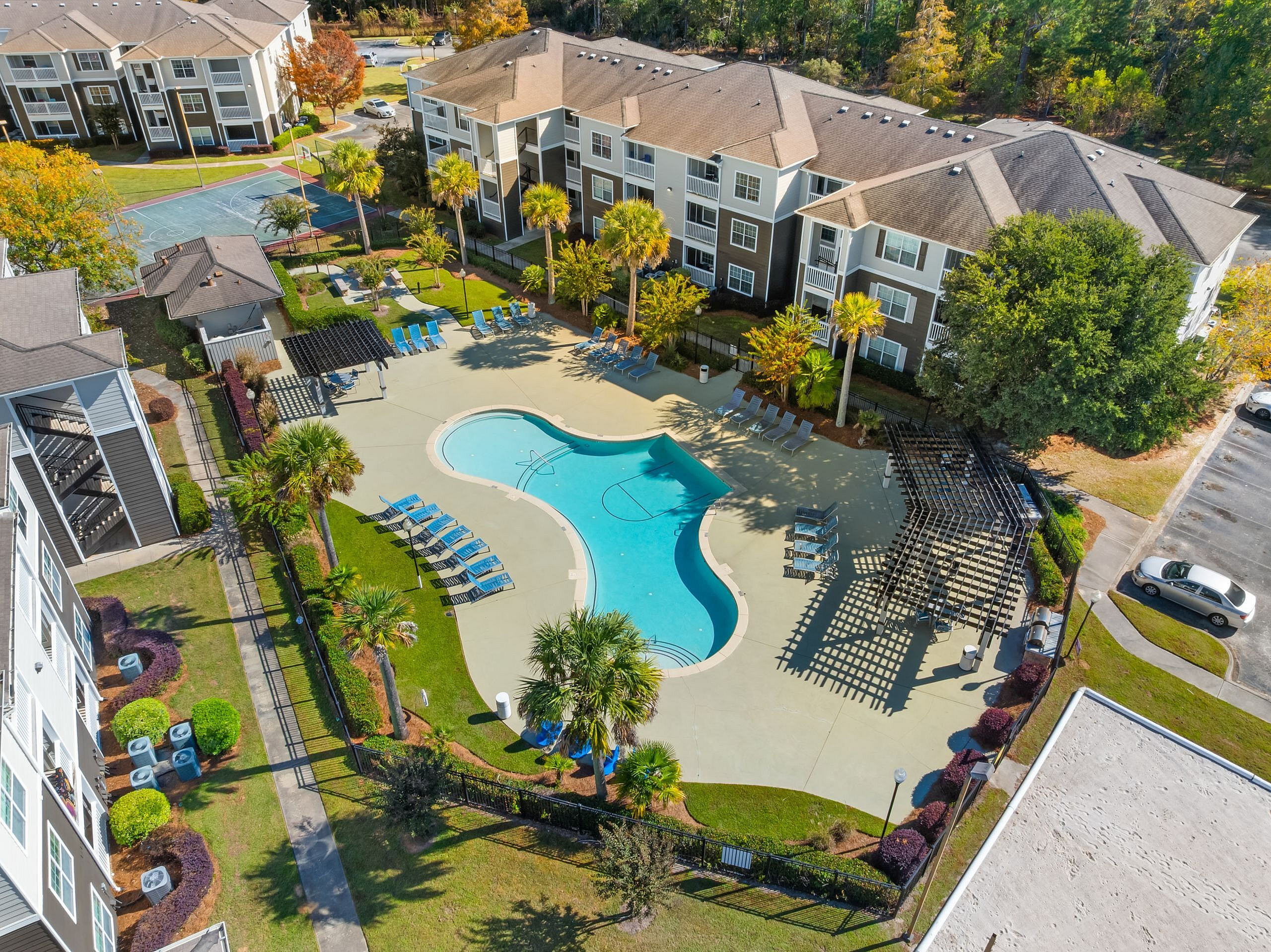 Lush apartment complex featuring a resort-style pool, surrounded by palm trees, sun loungers, and a covered patio area for relaxation.