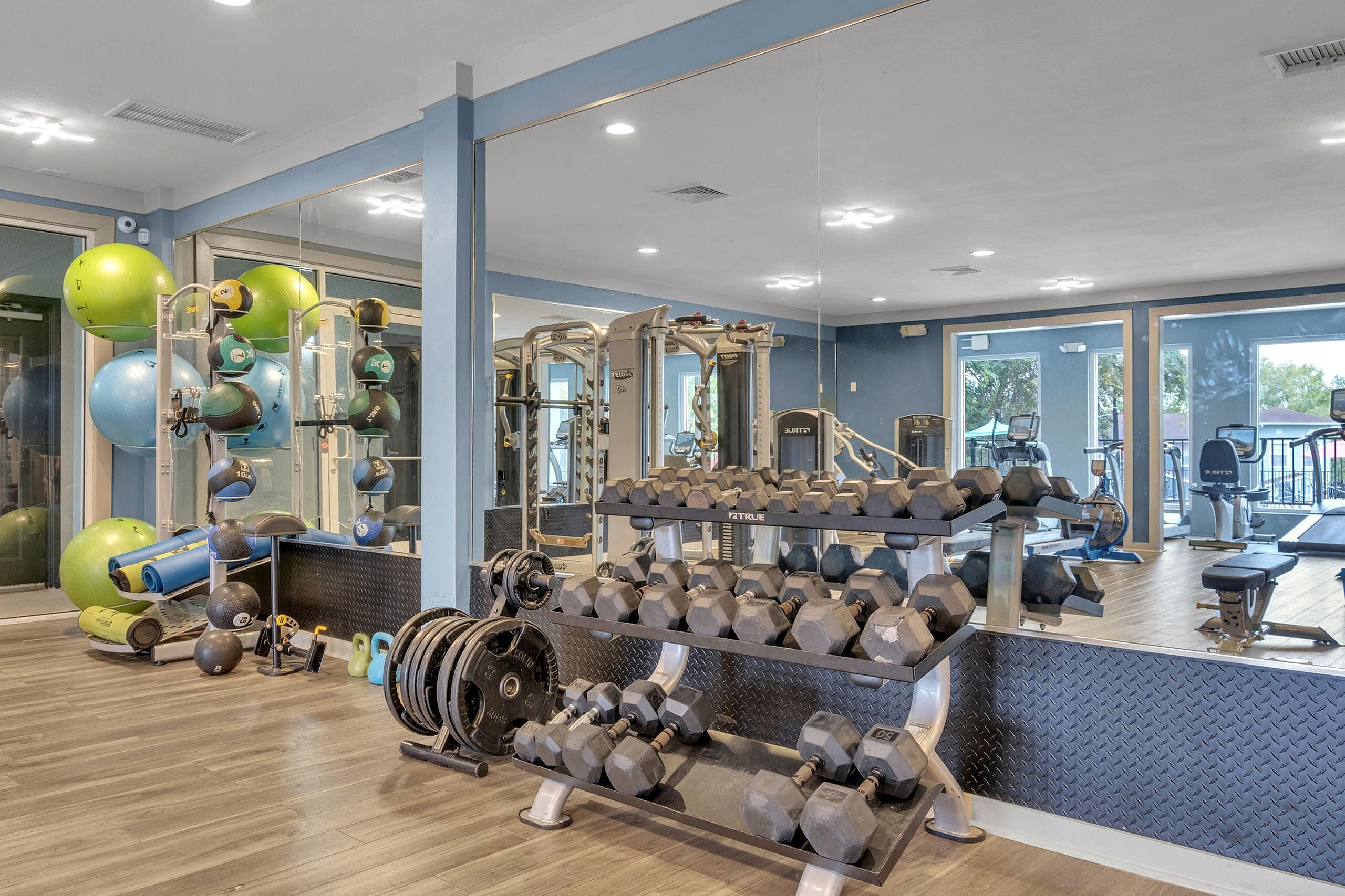 Modern gym facility featuring free weights, exercise equipment, and vibrant workout balls in a spacious, well-lit environment.