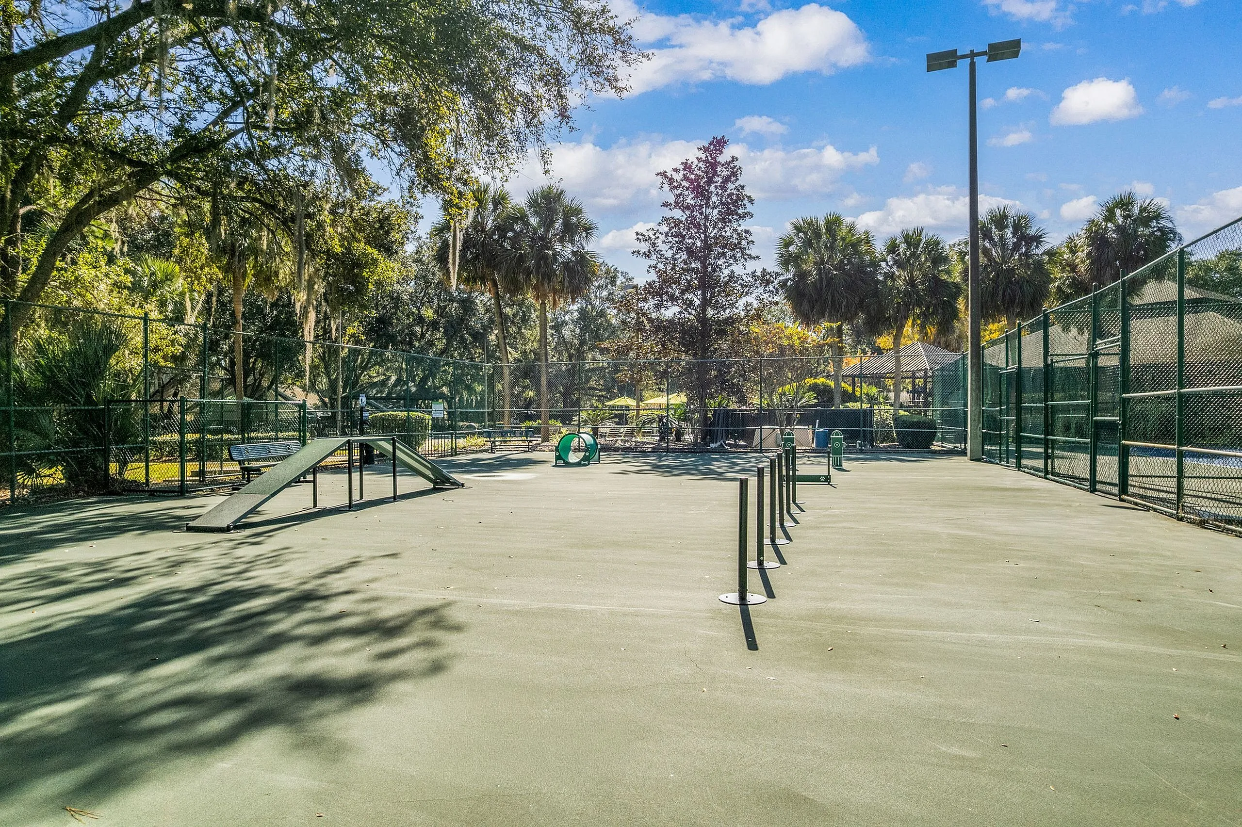 Vibrant outdoor recreational area with agility course surrounded by lush greenery and palm trees under a clear blue sky.