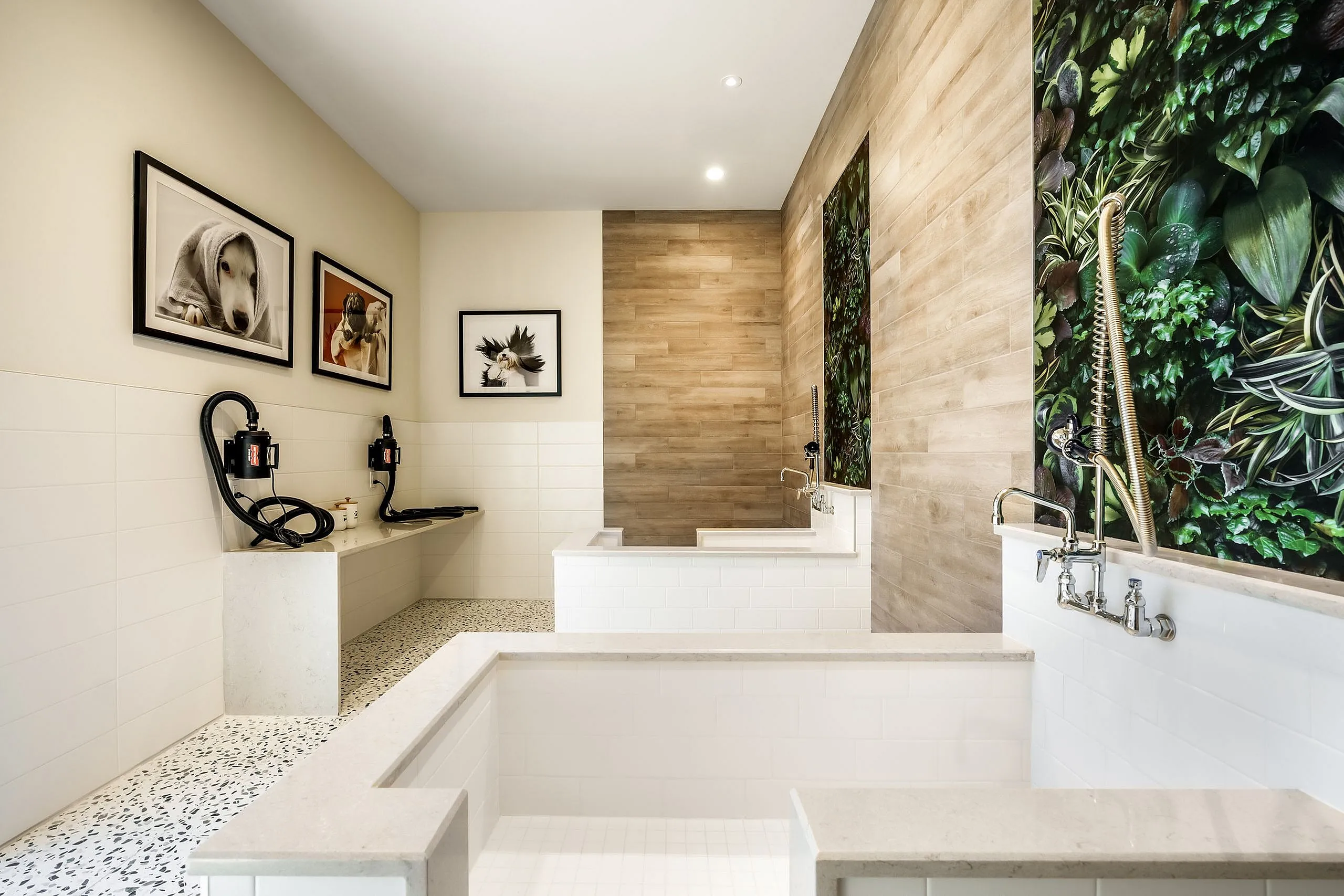 Modern pet grooming station with stylish dog portraits, featuring luxurious tiled tubs, vibrant green wall art, and sleek high-power dryers.