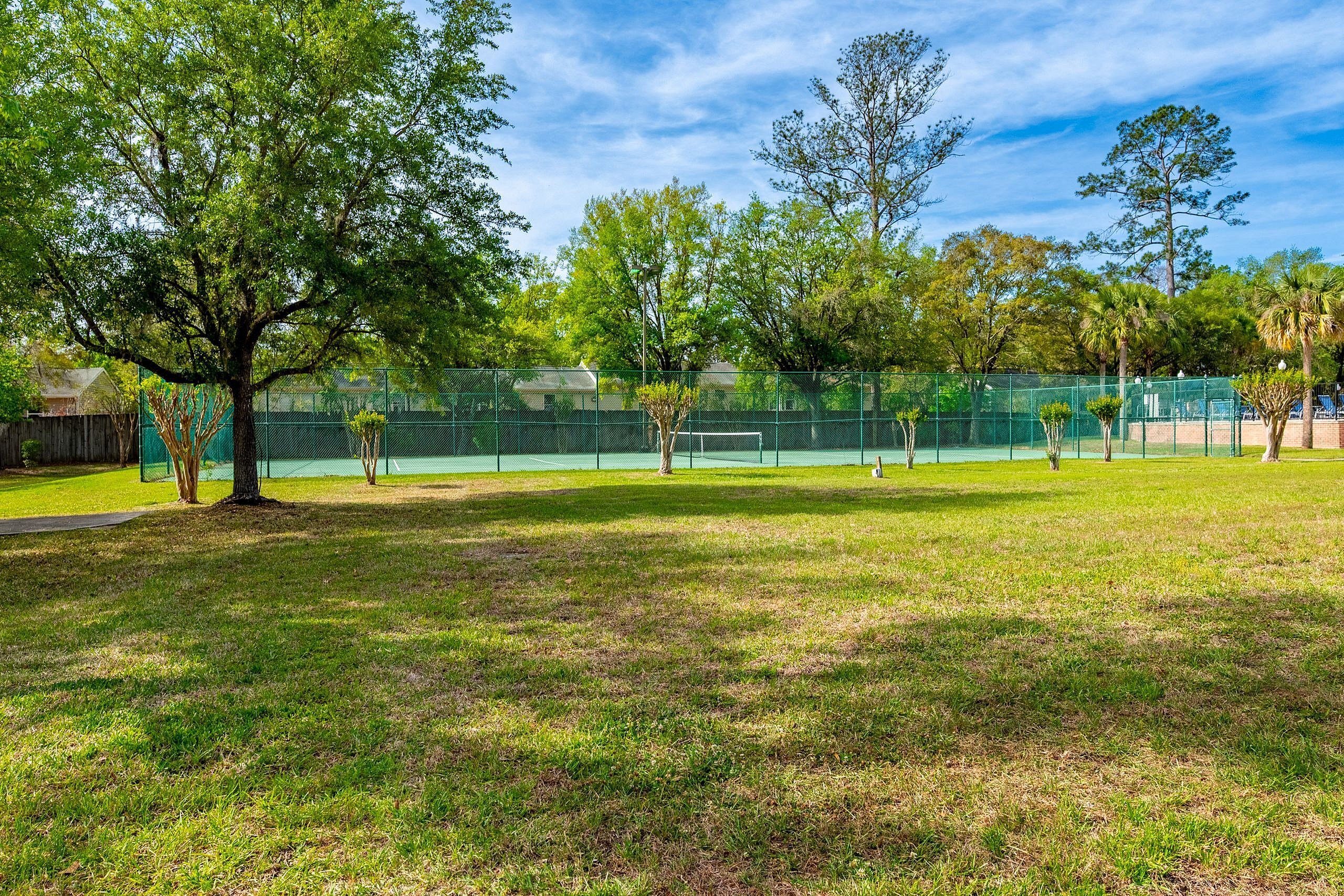 Lush green park view with a tennis court and tall trees under a bright blue sky, offering a serene recreational space.