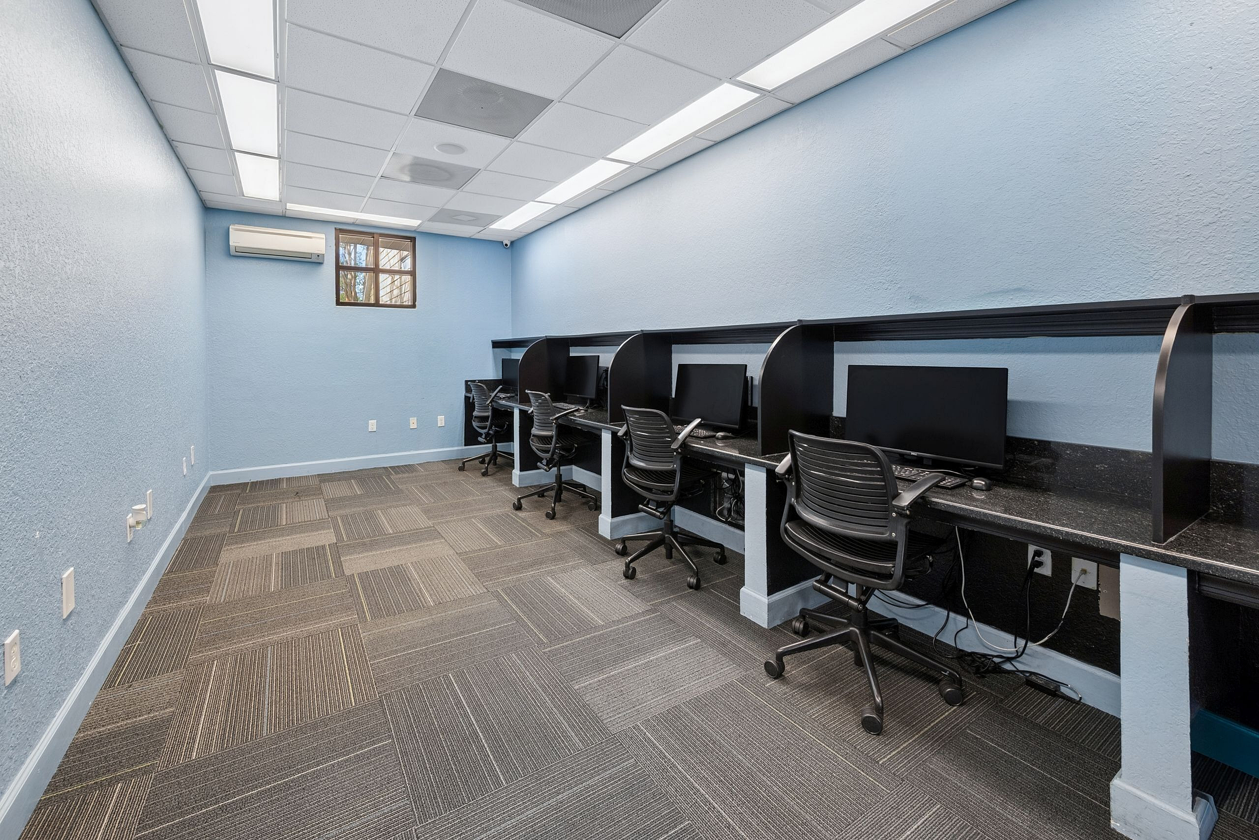 Chic and modern workspace with sleek black desks, ergonomic chairs, and soft blue walls creating an inviting atmosphere.