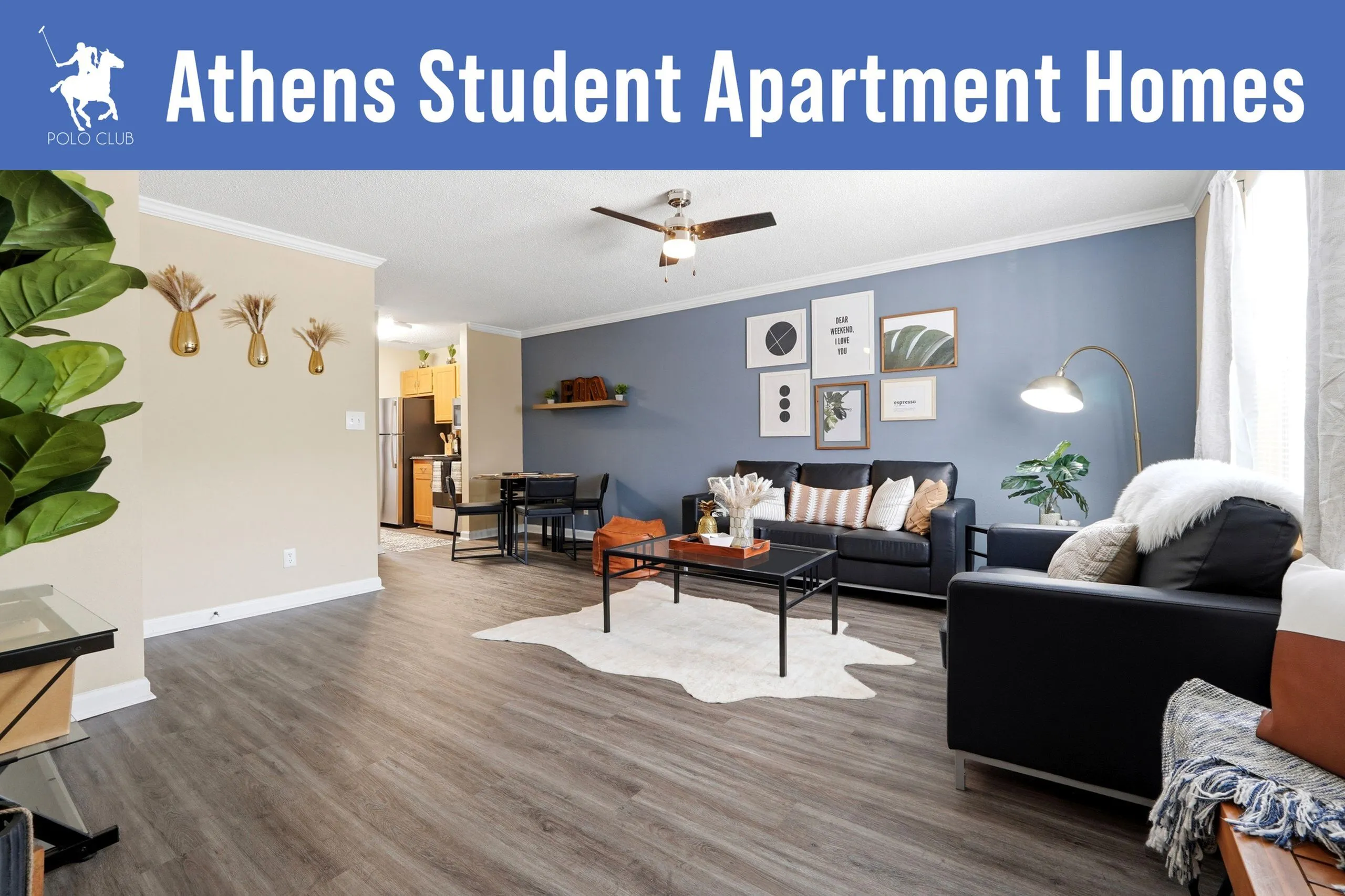 Stylish student apartment living room with modern decor, cozy seating, and open layout connecting to kitchen area.