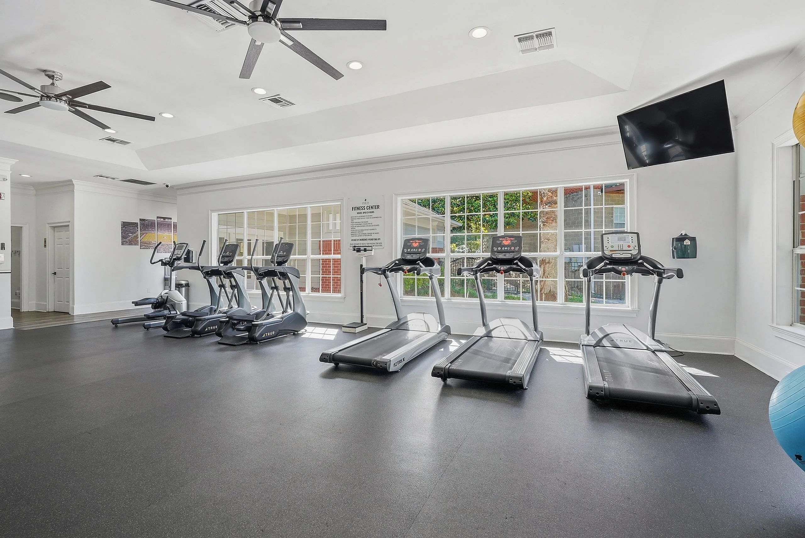 Modern fitness center with large windows, featuring state-of-the-art treadmills and elliptical machines, in a bright and airy space.