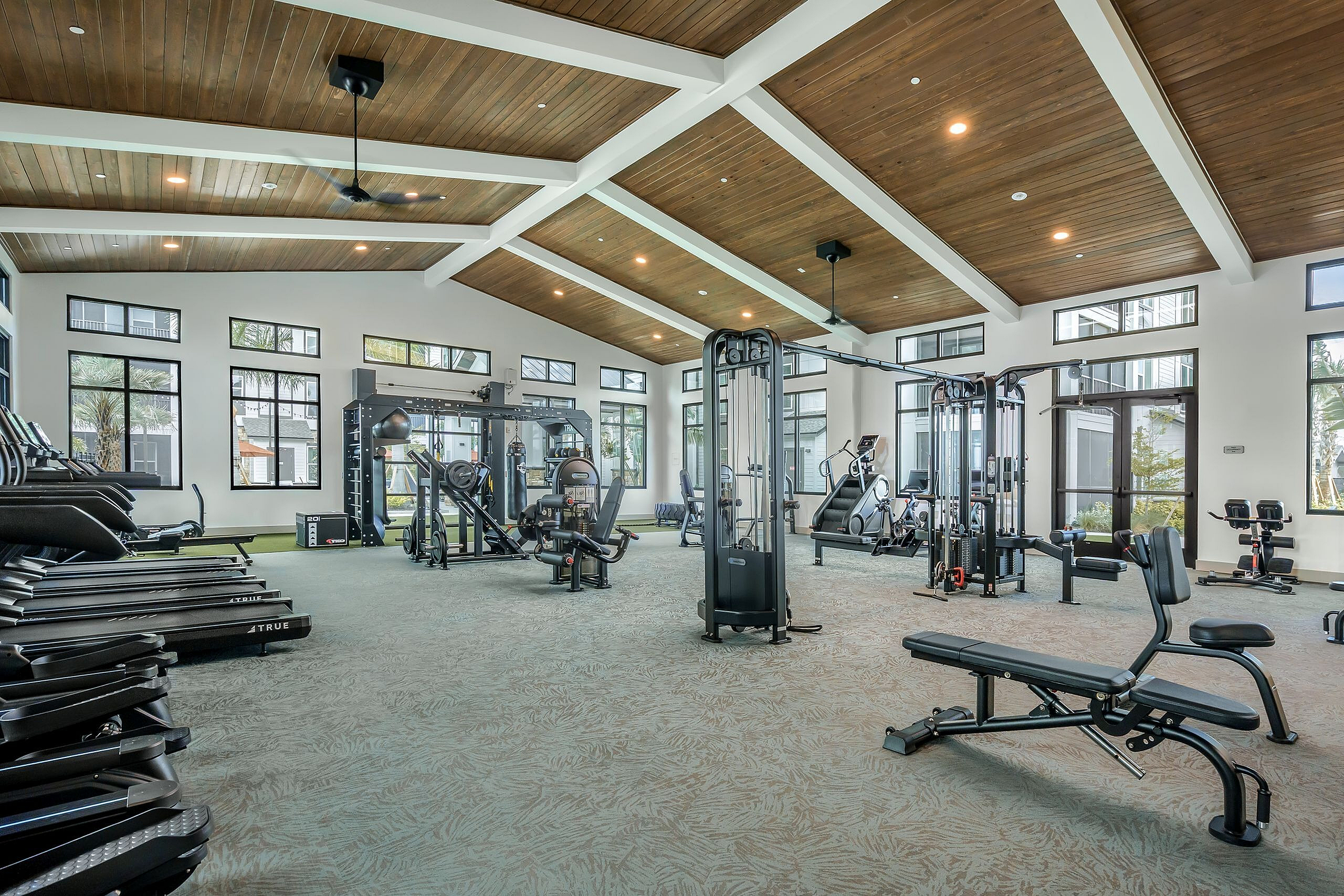 Spacious and modern gym with high ceilings, filled with state-of-the-art fitness equipment and abundant natural light.