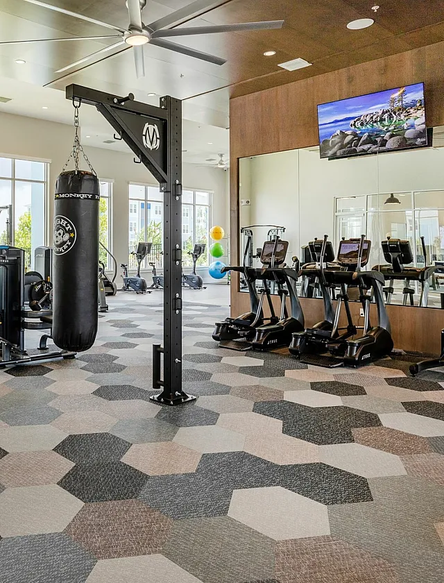 Modern fitness center with state-of-the-art equipment, large mirrors, and vibrant geometric flooring.