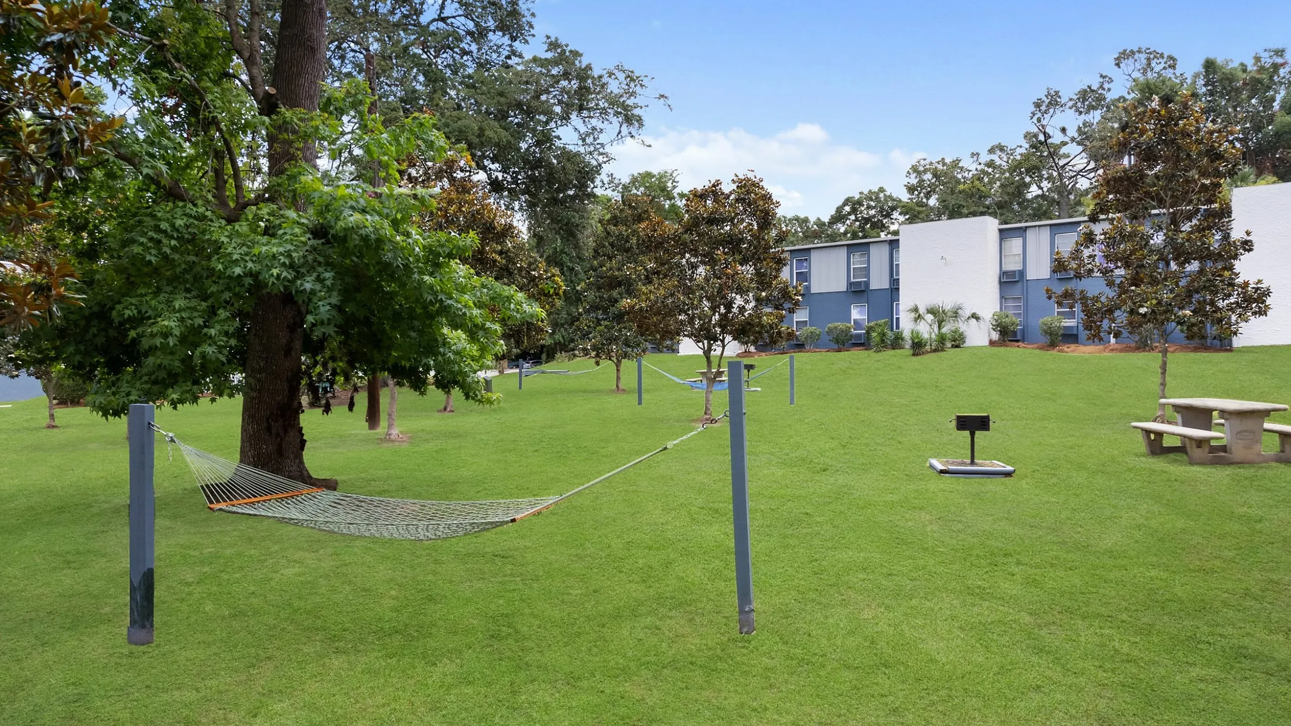 Tranquil community garden with lush green grass, hammock, and picnic table, perfect for relaxing and enjoying nature.