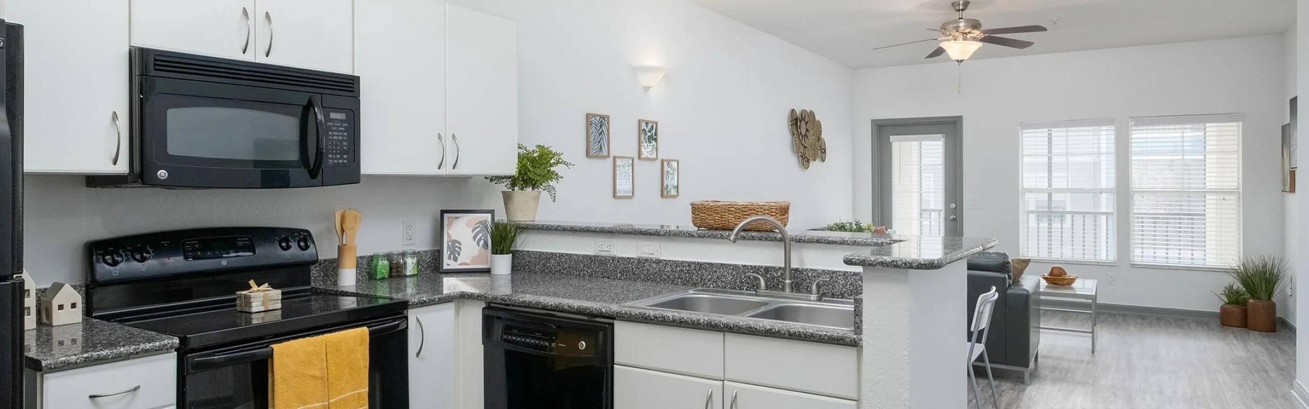 Modern open-concept kitchen with sleek countertops, black appliances, and bright living area with large windows.