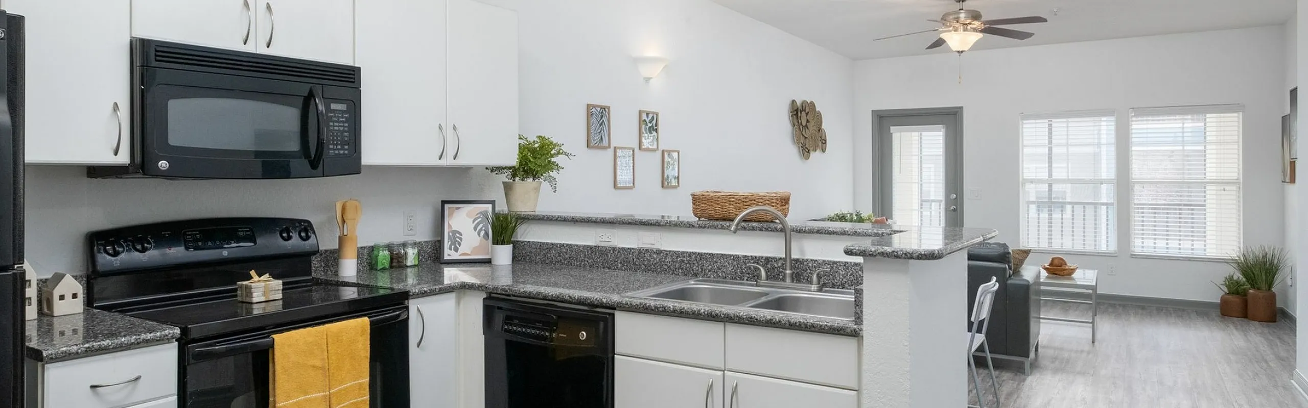 Sleek modern kitchen with granite countertops, open flow into bright living area, and stylish decor.