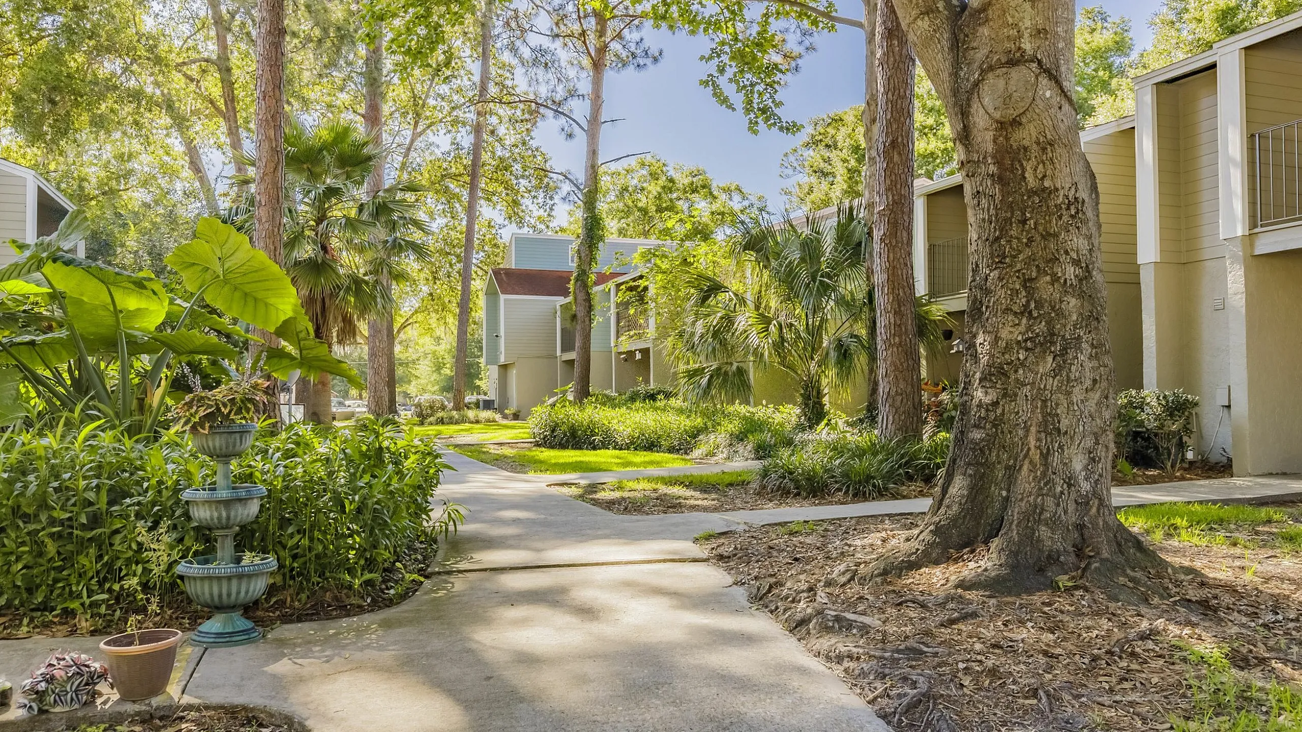 Charming apartment setting surrounded by lush greenery and mature trees, offering a serene natural environment with a paved walkway.