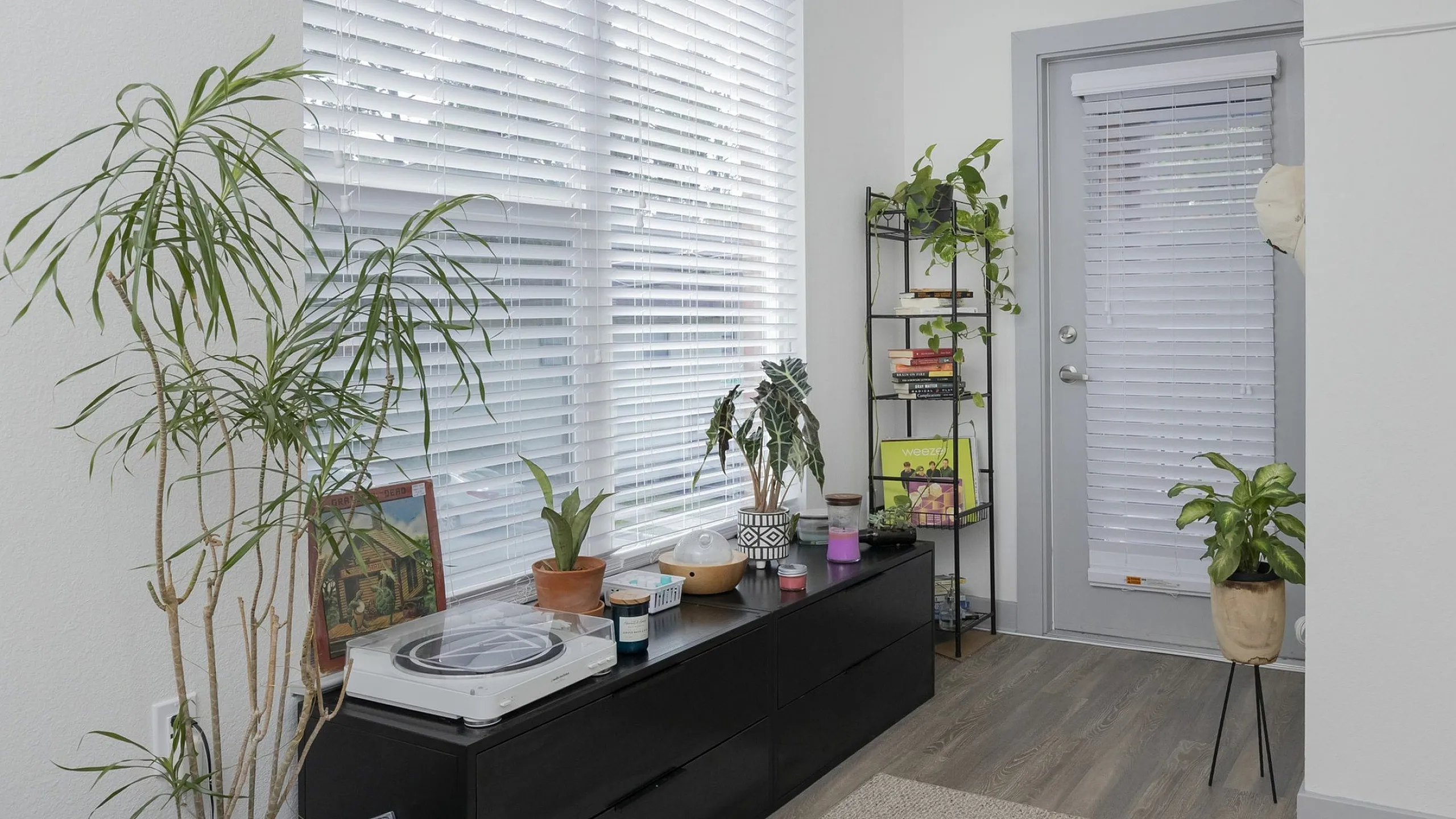 Bright, inviting interior space featuring lush indoor plants, sleek modern decor, and ample natural light from large windows and a glass door.