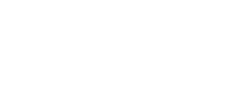 Elegant 'Museum Walk' logo with stylish italicized font and artistic shadow effect.