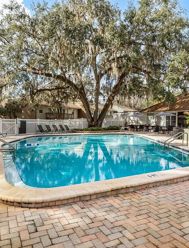 Inviting outdoor pool area with elegant lounge chairs, surrounded by lush greenery and charming trees, perfect for relaxation and leisure.