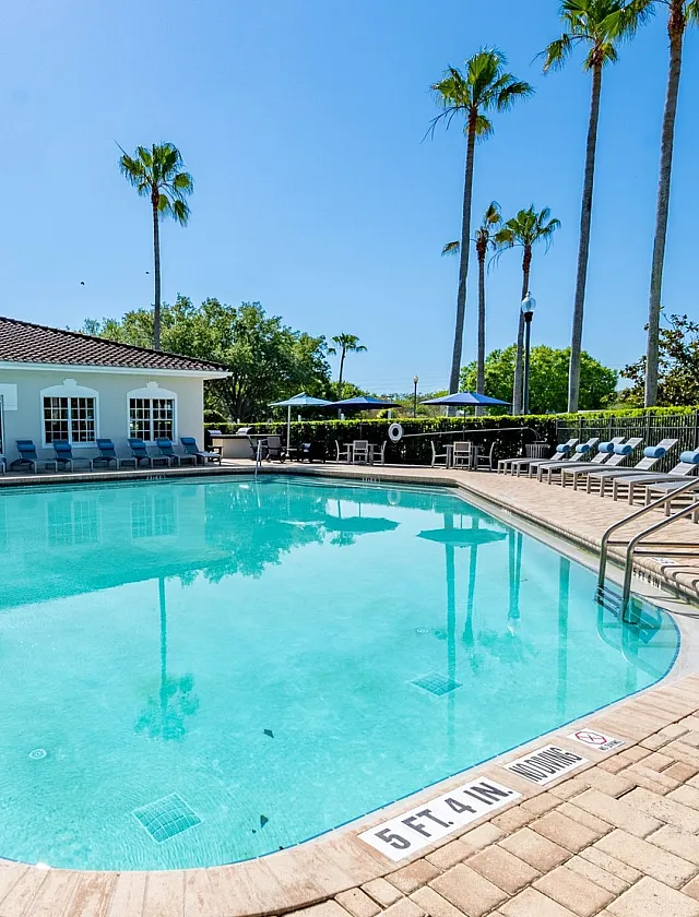 Inviting outdoor pool area with sun loungers and palm trees, perfect for relaxation and leisure in a serene setting.