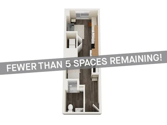 Sx1 Large Penthouse C