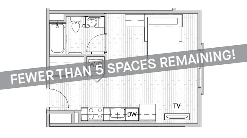 Studio Large Premium C