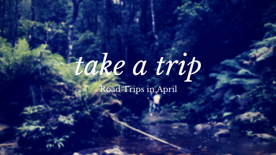 Plan an Epic Road Trip-image