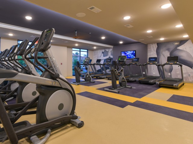 Image of Extensive Fitness Facilities with Spin & Yoga Room for The Standard at Gainesville