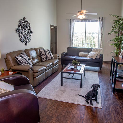 Image of Pet Friendly for Eclipse on Broad