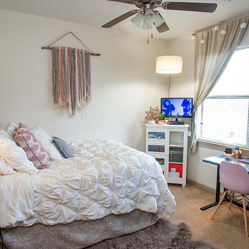 Image of Ceiling Fans in Every Room for Eclipse on Broad