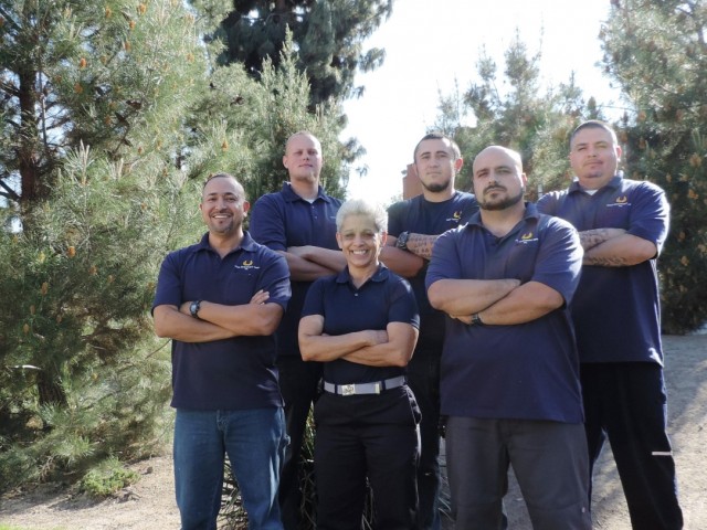 Our Team