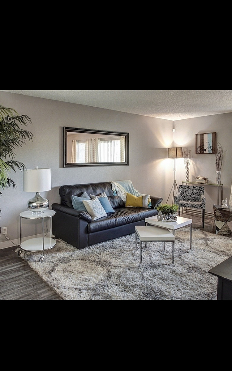 Inviting living room with elegant decor, featuring a cozy black leather sofa, chic throw pillows, and modern coffee tables on a plush rug. Ambient lighting and a large potted plant enhance the sophisticated atmosphere.