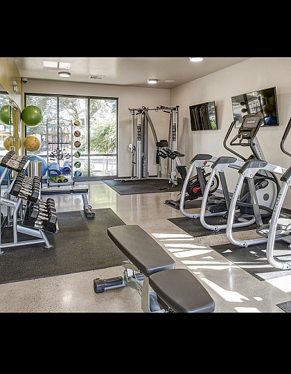 Bright, modern fitness center featuring state-of-the-art equipment, dumbbells, and exercise balls with a stunning garden view.