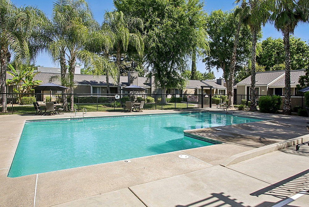 Inviting outdoor pool area surrounded by lush palm trees and modern patio furniture, perfect for relaxation and leisure.