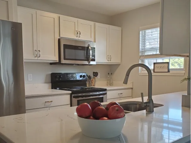 Mountain Floor Plan Fully Renovated