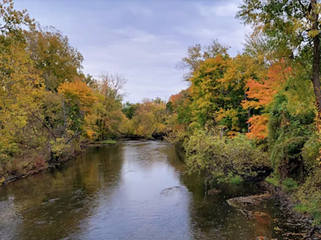 Serene river flowing between vibrant autumn trees.