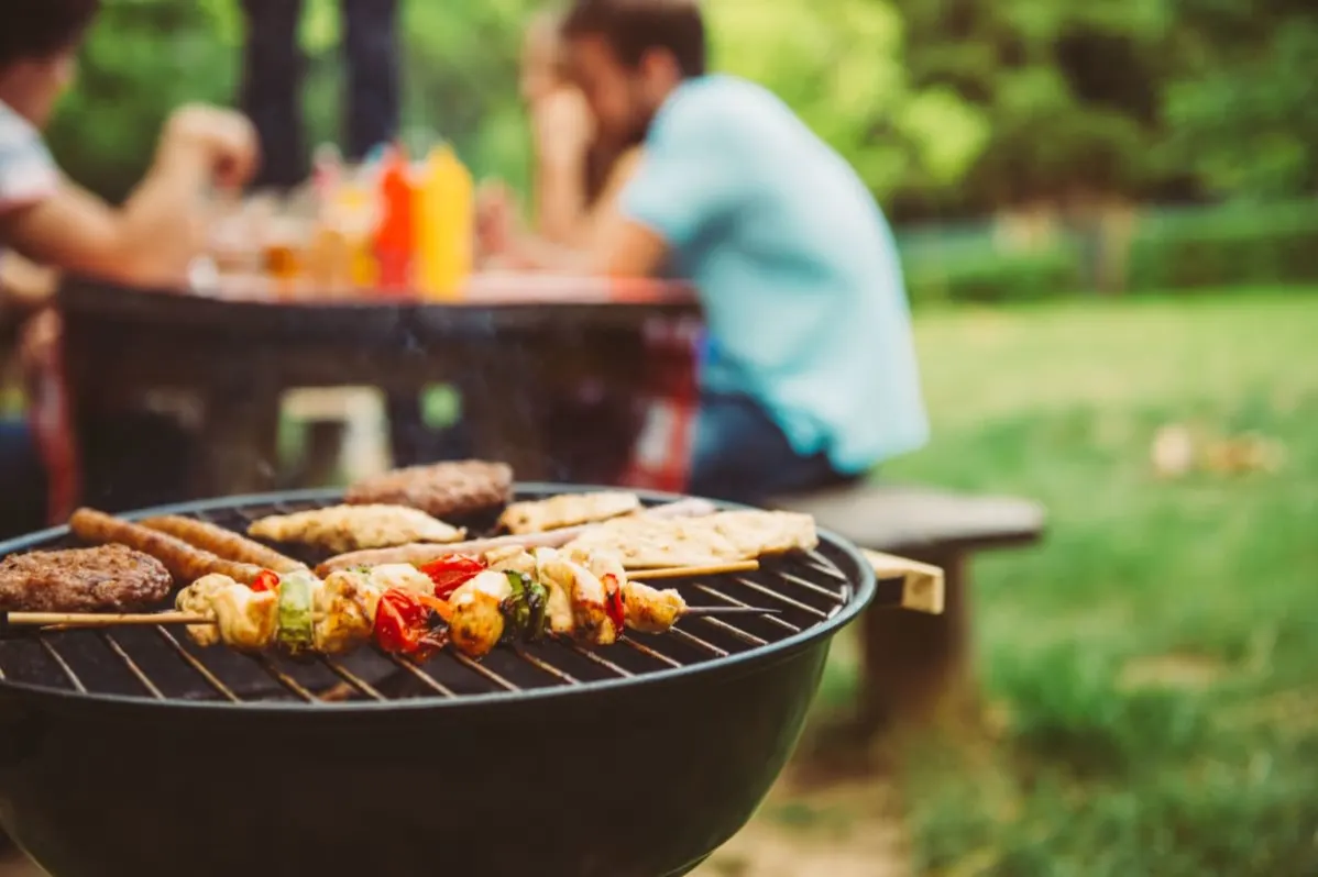 Outdoor picnic