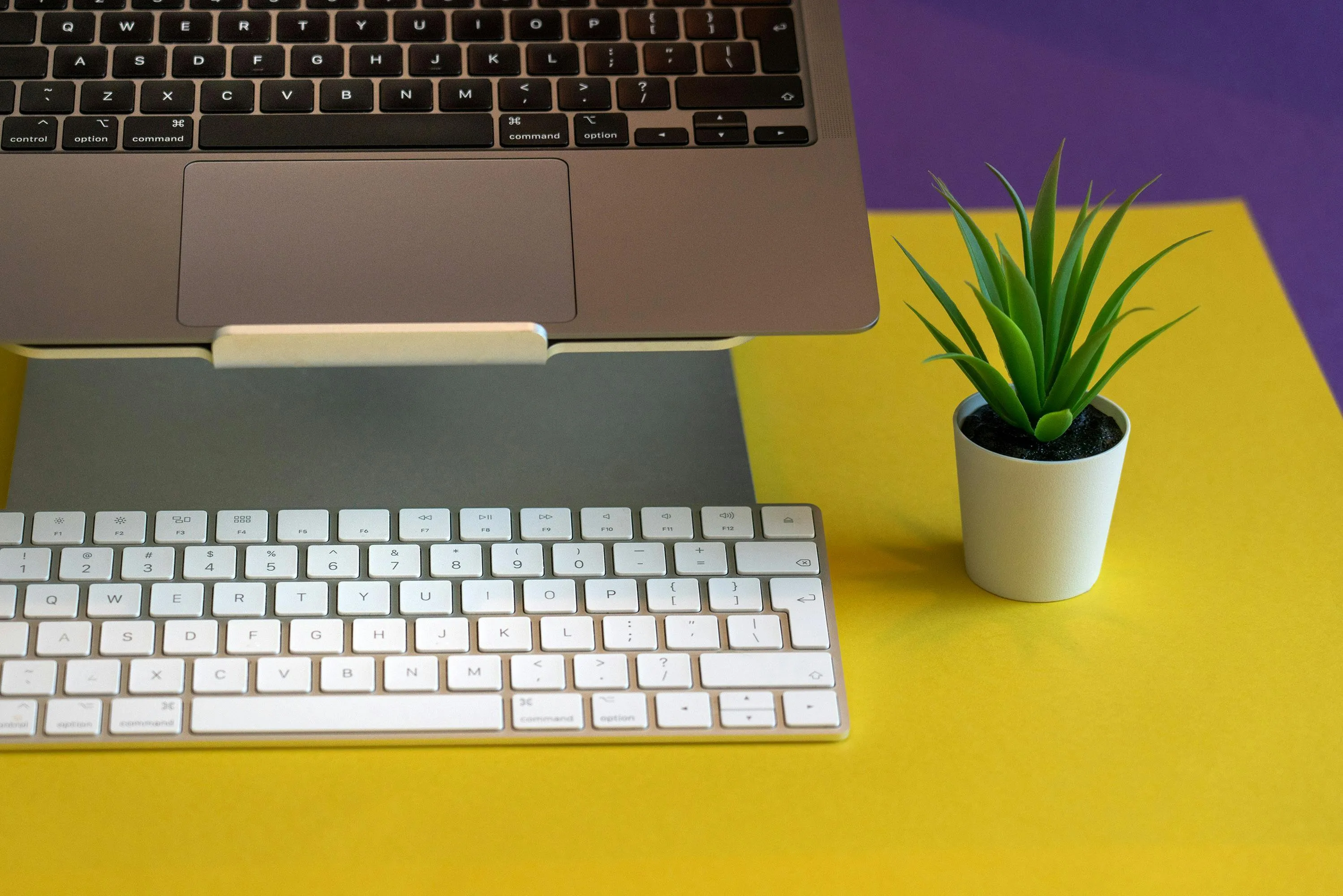 Modern workspace with sleek laptop, wireless keyboard, and vibrant potted plant on a colorful background.