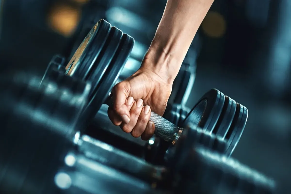Weights in fitness center