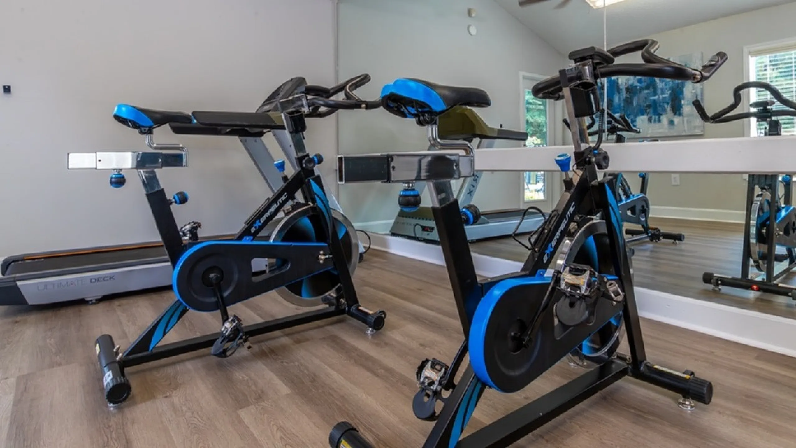 Stylish home gym with sleek exercise bikes and mirrored walls for enhanced workouts.