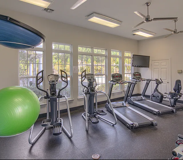 Modern gym with treadmills, ellipticals, exercise ball, and large windows.