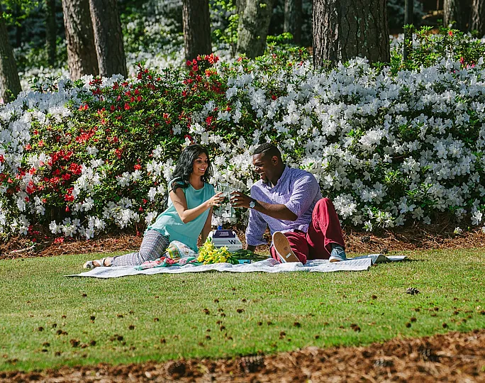 Charming picnic scene with a couple enjoying a sunny day on a lush green lawn, surrounded by vibrant blooming flowers.