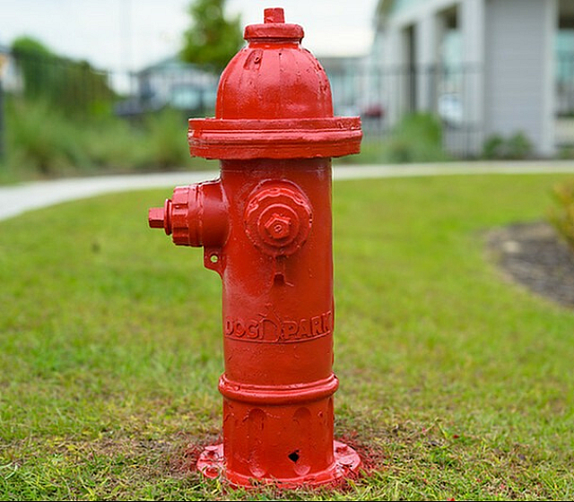 Vibrant red fire hydrant on lush green lawn in a modern residential neighborhood.