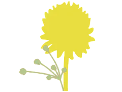 Modern graphic of a bright yellow dandelion with buds, showcasing natural beauty and simplicity.