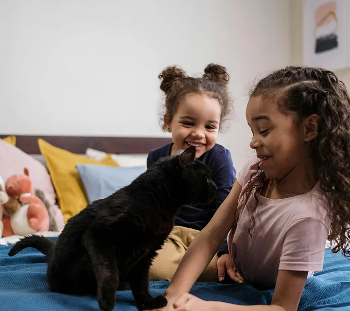Joyful children and a black cat playing on a cozy bed in a bright, welcoming room adorned with colorful cushions and playful decor.