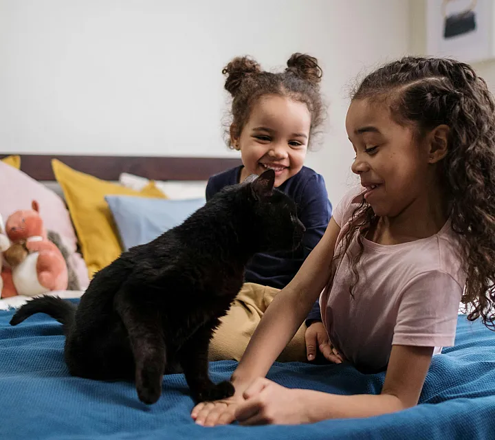 Charming bedroom scene with two joyful children playing with a black cat, surrounded by colorful pillows and toys on a cozy bed.