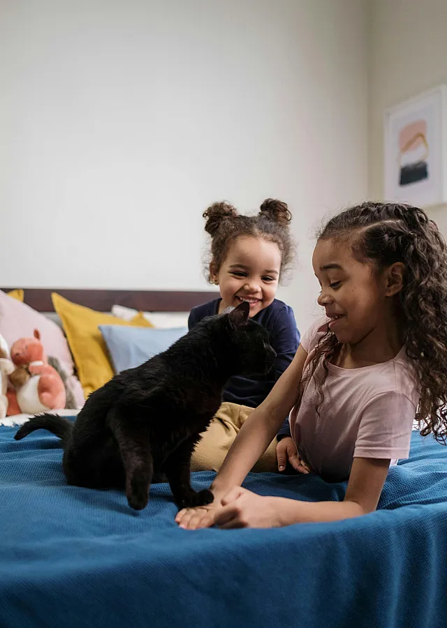 Cozy bedroom scene with children laughing and petting a black cat on a comfortable bed with colorful pillows.