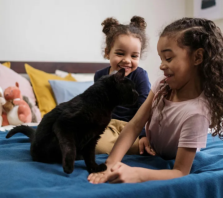 Charming bedroom scene with two joyful children playing with a black cat on a cozy blue bedspread, surrounded by plush toys and vibrant pillows.