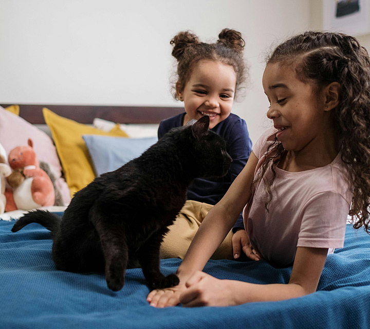 Charming bedroom with kids and a cat playfully interacting, creating a warm and family-friendly atmosphere.