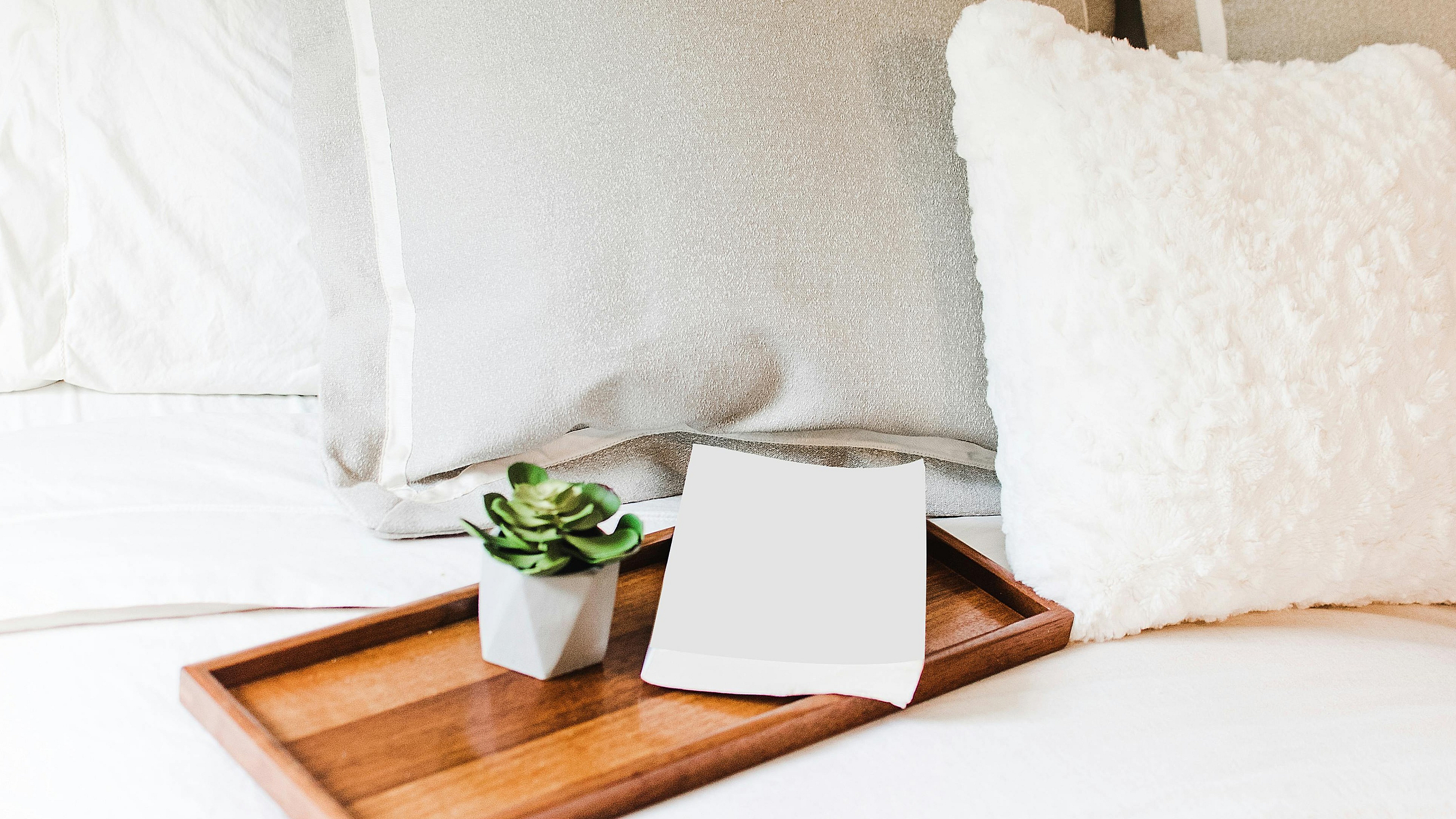 Inviting bedroom setting featuring plush pillows, a wooden tray with a modern succulent plant, and a cozy ambiance.