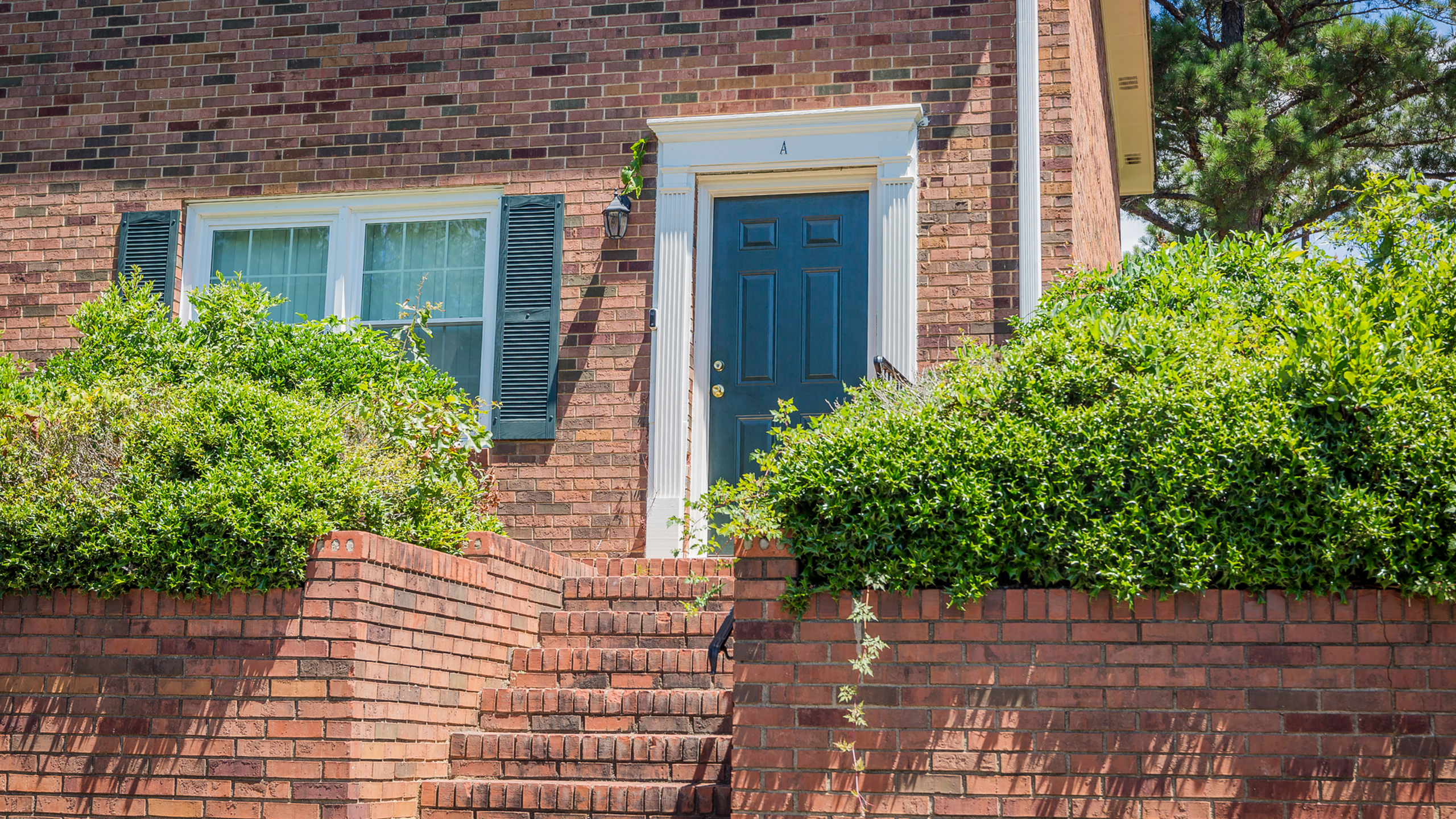 Charming brick townhouse entrance with vibrant greenery and classic shutters.